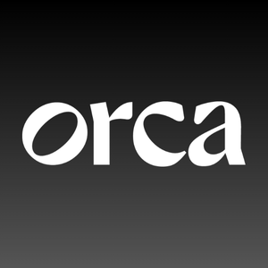 Orca Pay Group logo